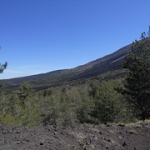 Giro Etna in MTB • <a style="font-size:0.8em;" href="http://www.flickr.com/photos/92853686@N04/46910581875/" target="_blank">View on Flickr</a>
